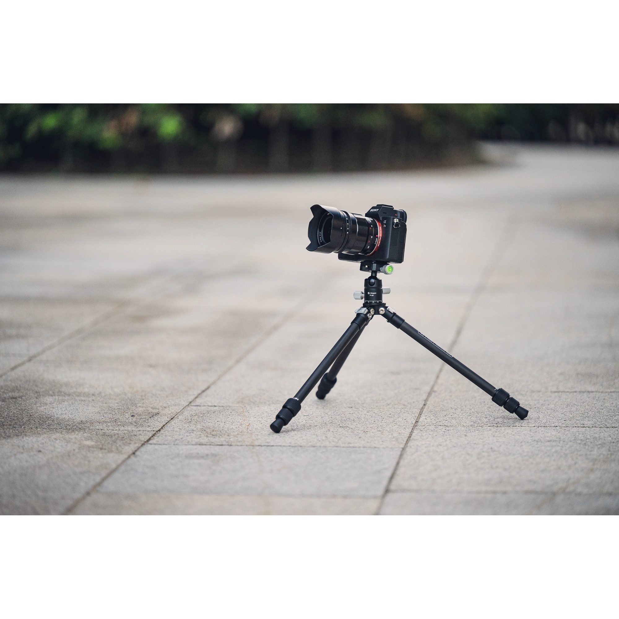 Statyw Fotopro P-2 z głowicą kulową P-2H - czarny_08_HD