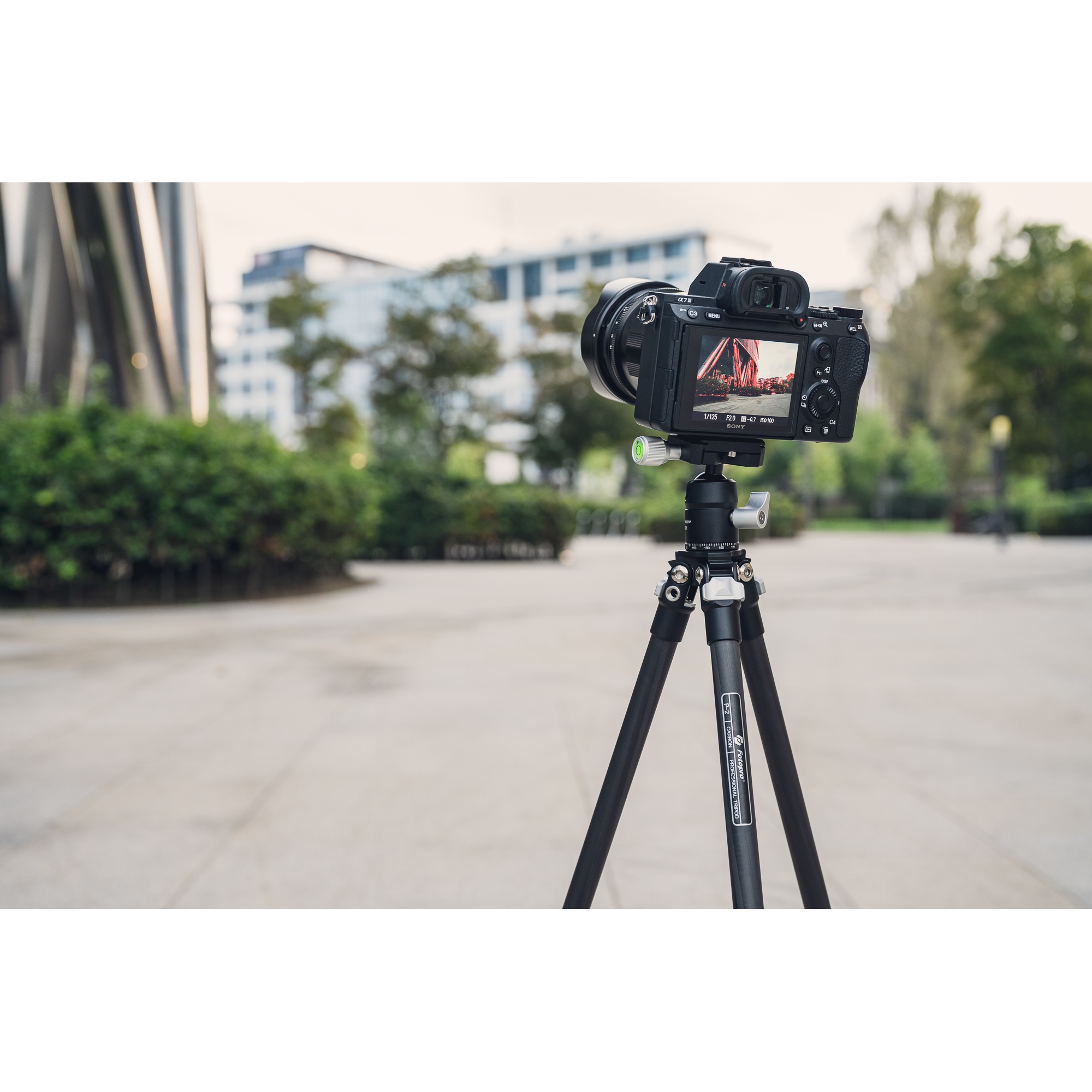 Statyw Fotopro P-2 z głowicą kulową P-2H - czarny_10_HD