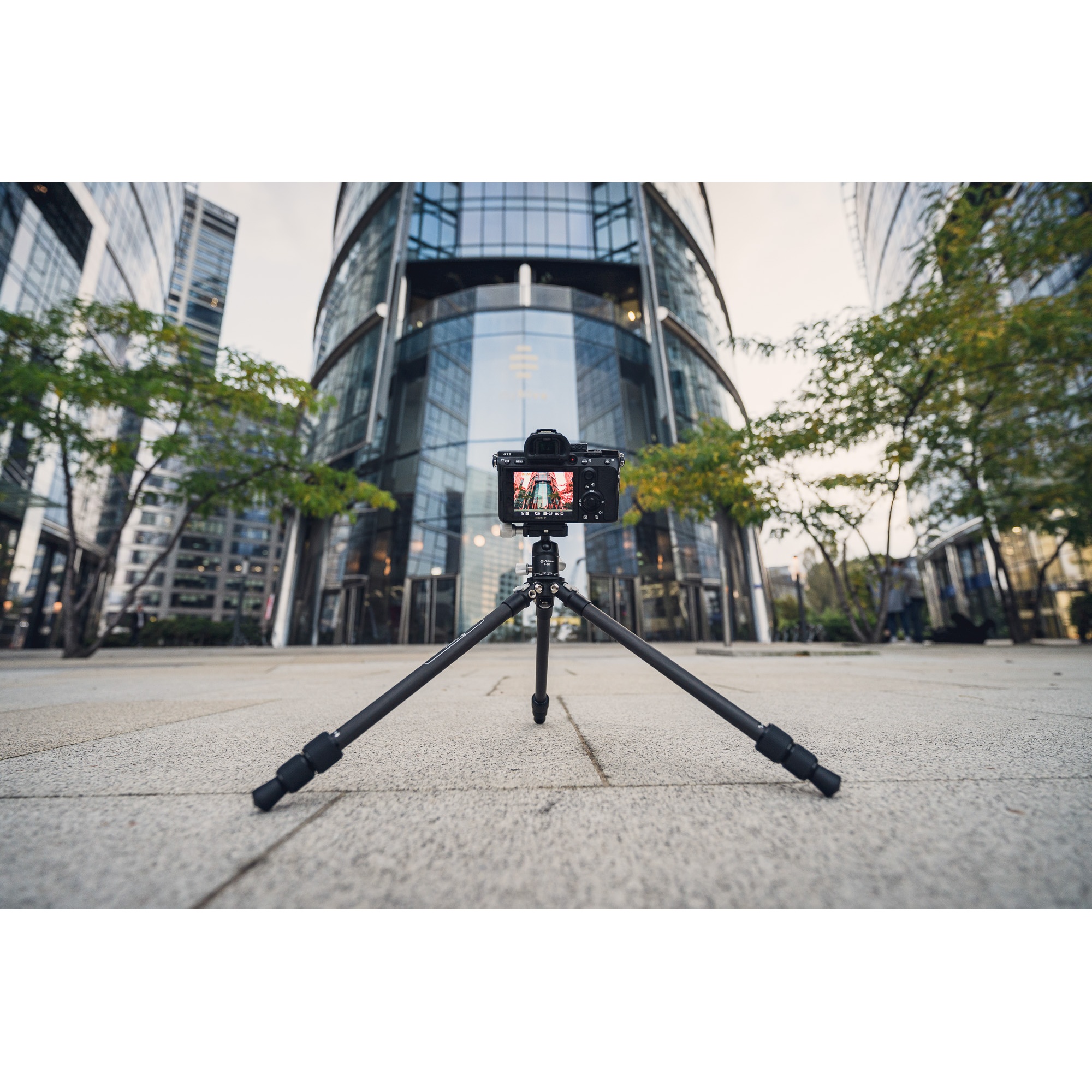 Statyw Fotopro P-2 z głowicą kulową P-2H - czarny_12_HD